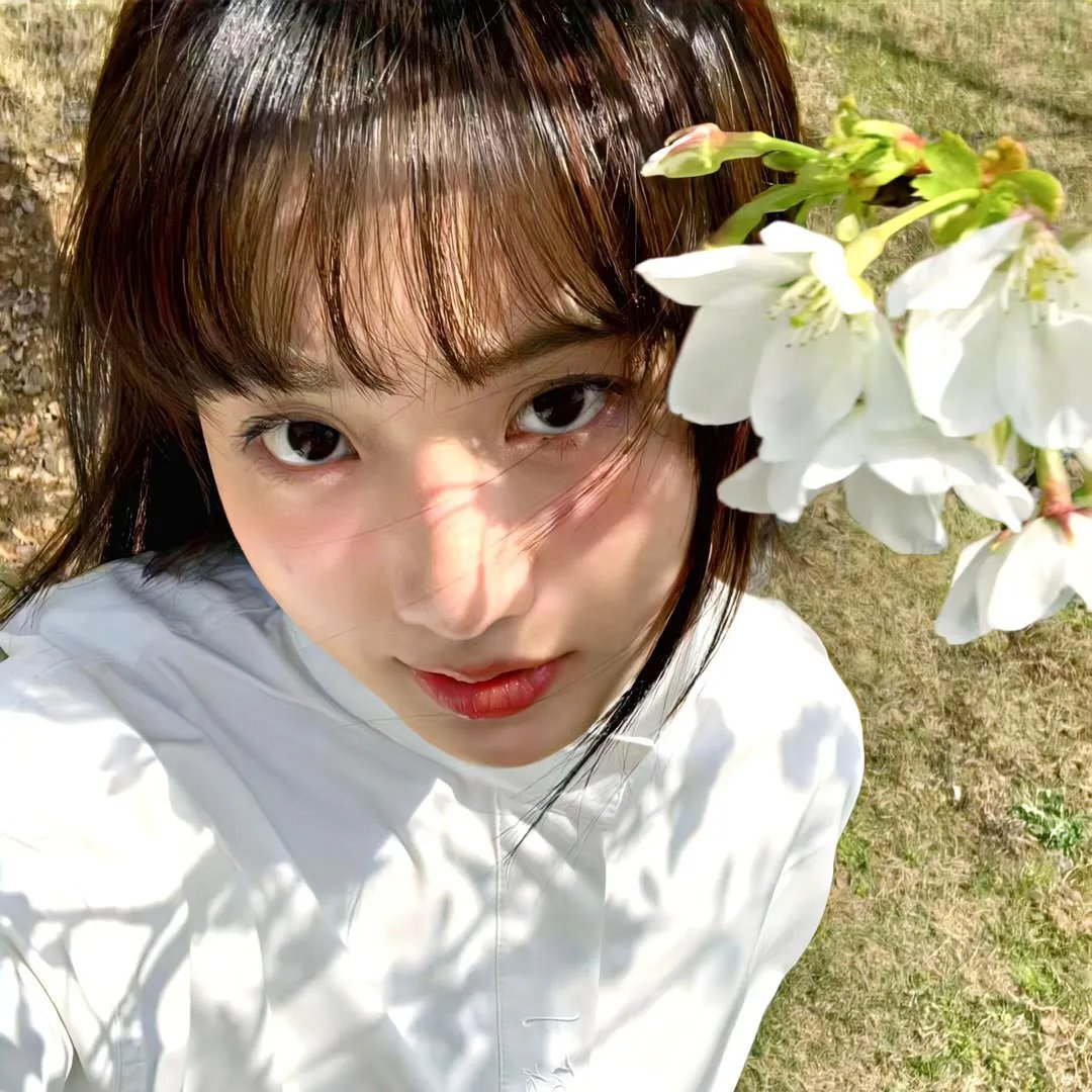 非凡之旅《进藏》